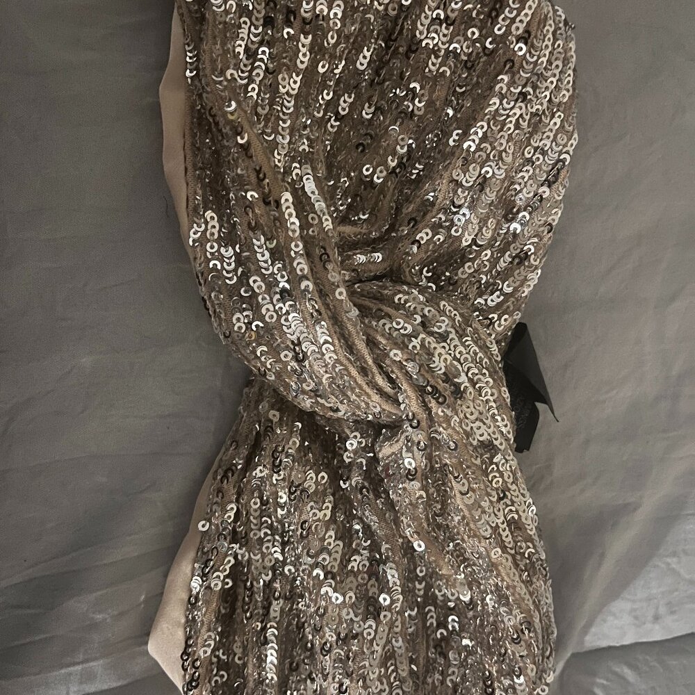 Sparking Silver Sequin head dress